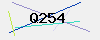 验证码